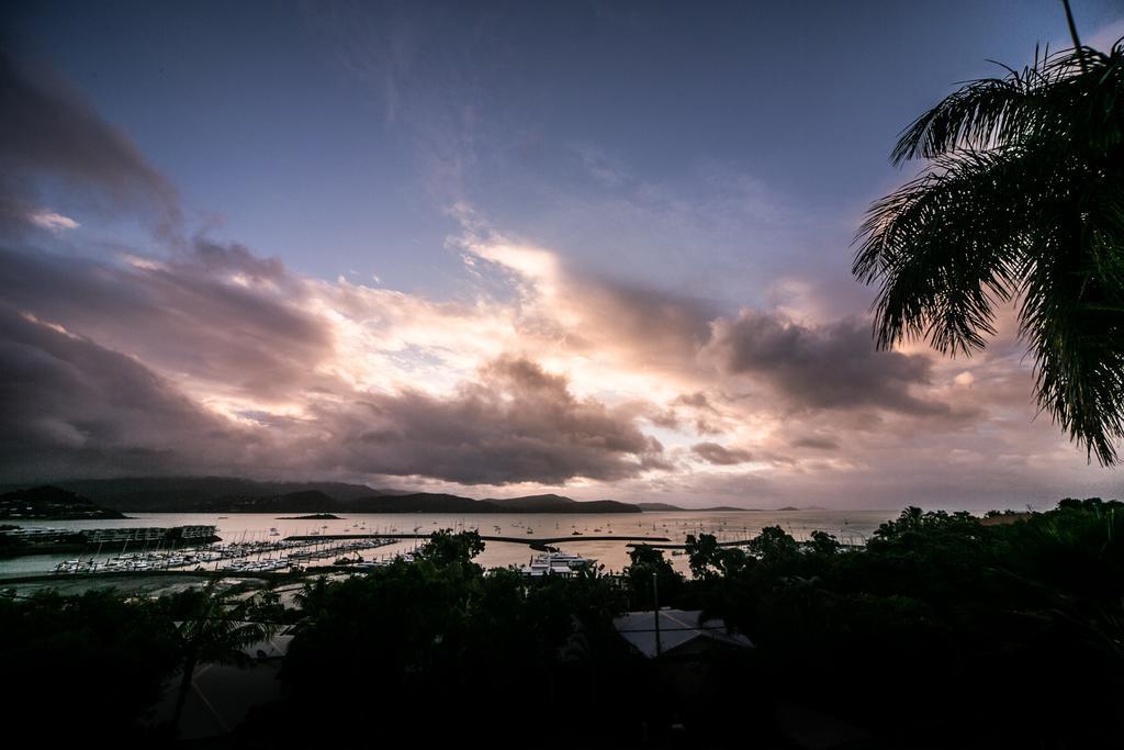 Sunlit Waters Studio Apartments Airlie Beach Dış mekan fotoğraf