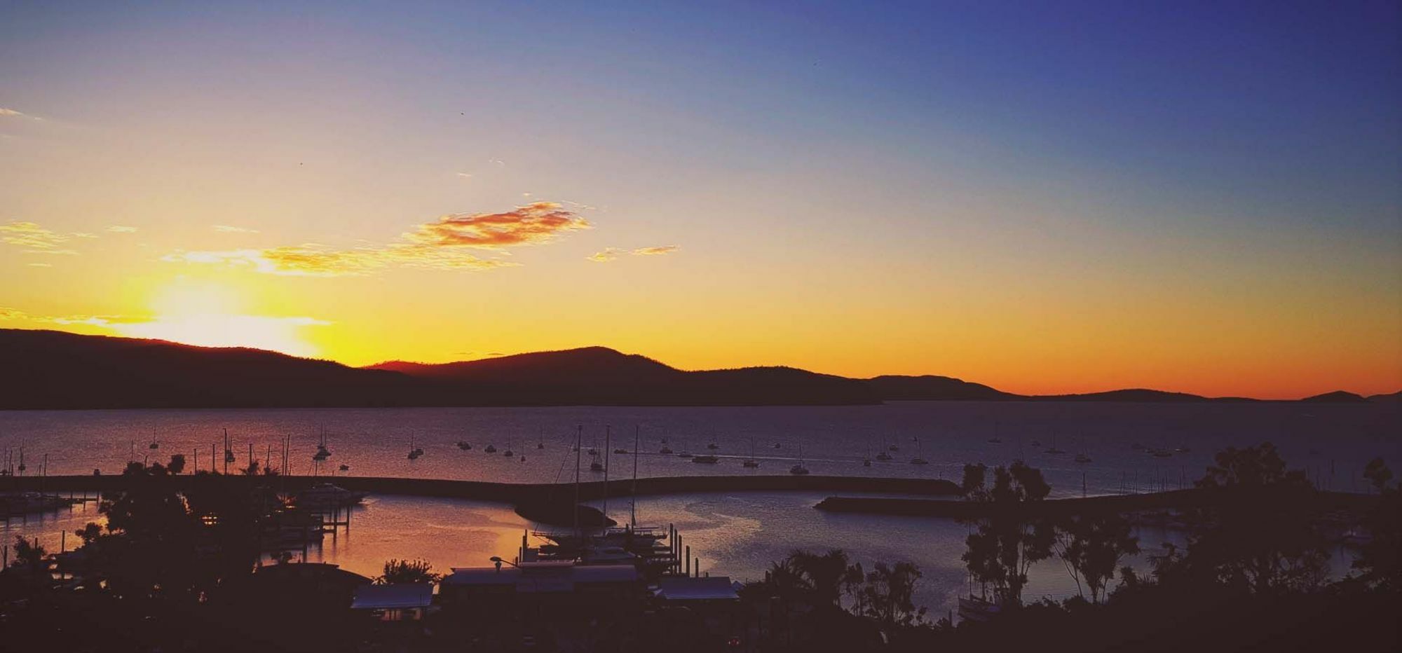 Sunlit Waters Studio Apartments Airlie Beach Dış mekan fotoğraf