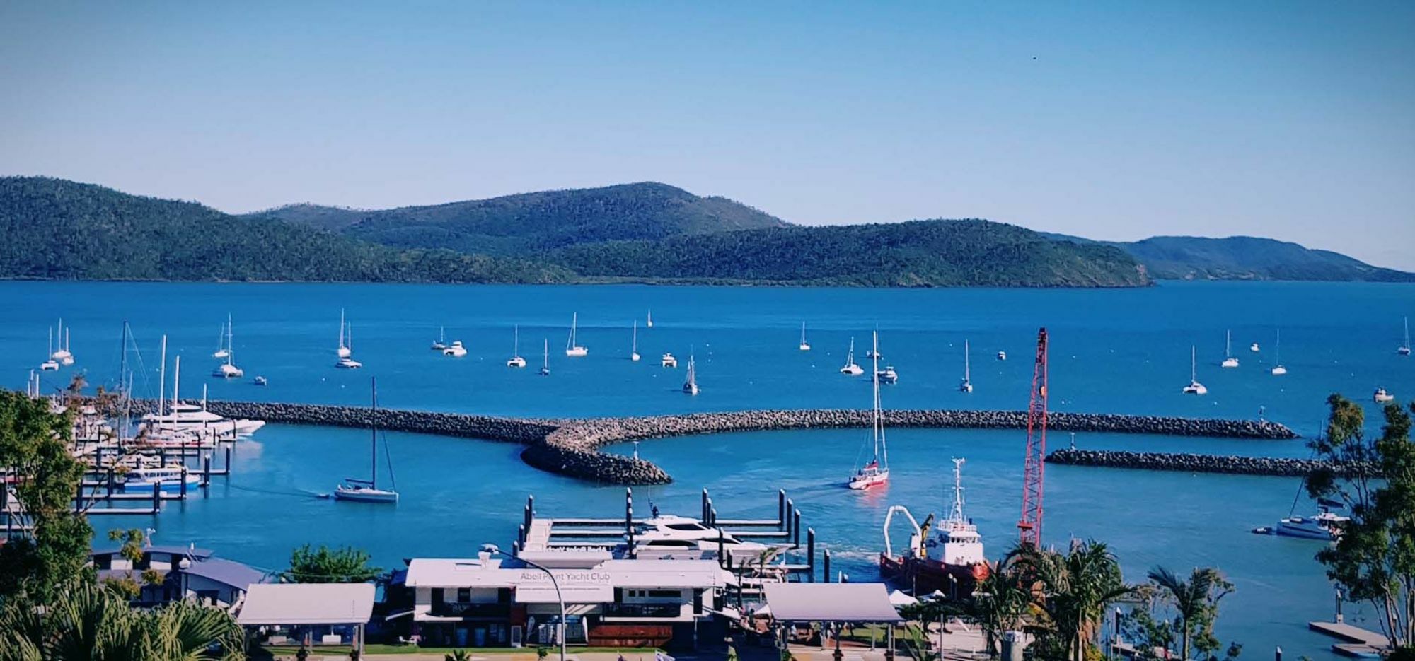 Sunlit Waters Studio Apartments Airlie Beach Dış mekan fotoğraf